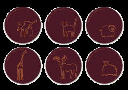 Atipus平面設(shè)計(jì)與軟件開發(fā)的跨界融合